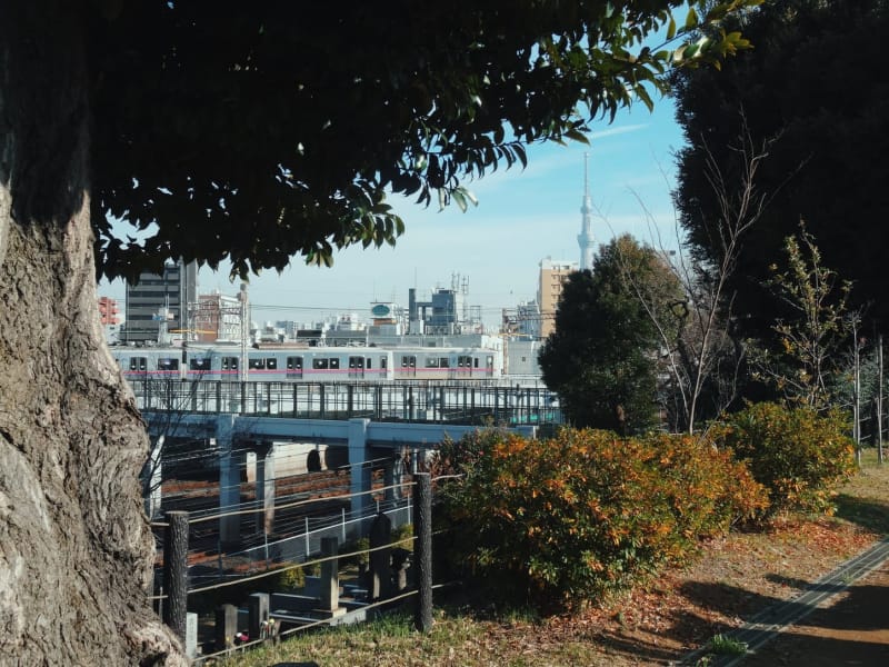 Ynaka cemetery nippori station