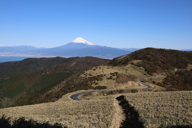 Izu city mount Fuji