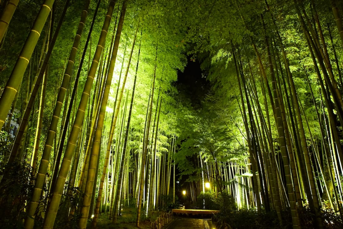 Shuzenji onsen