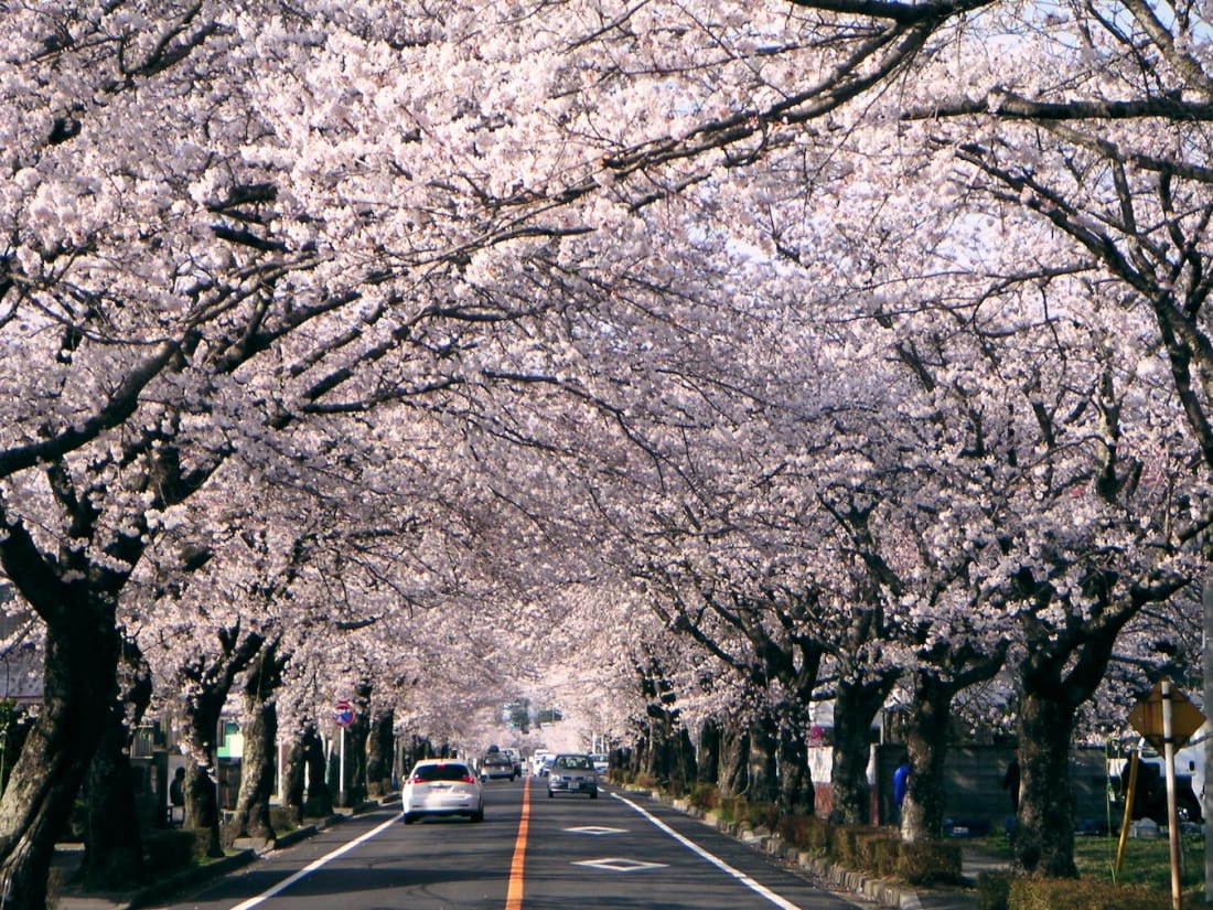 Yonomori Park