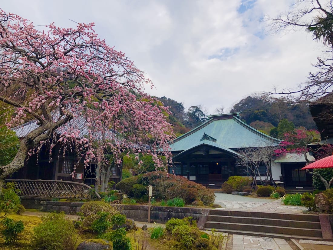 kaizoji temple Kamakura