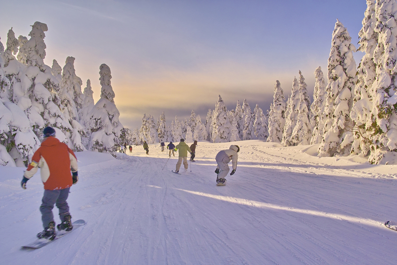 skiing japan