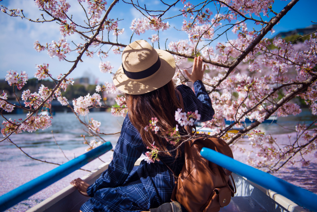 Cherry Blossom Tokyo