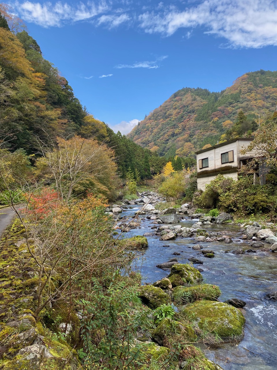 Mukai brewing kochi Shikoku tokyo weekender