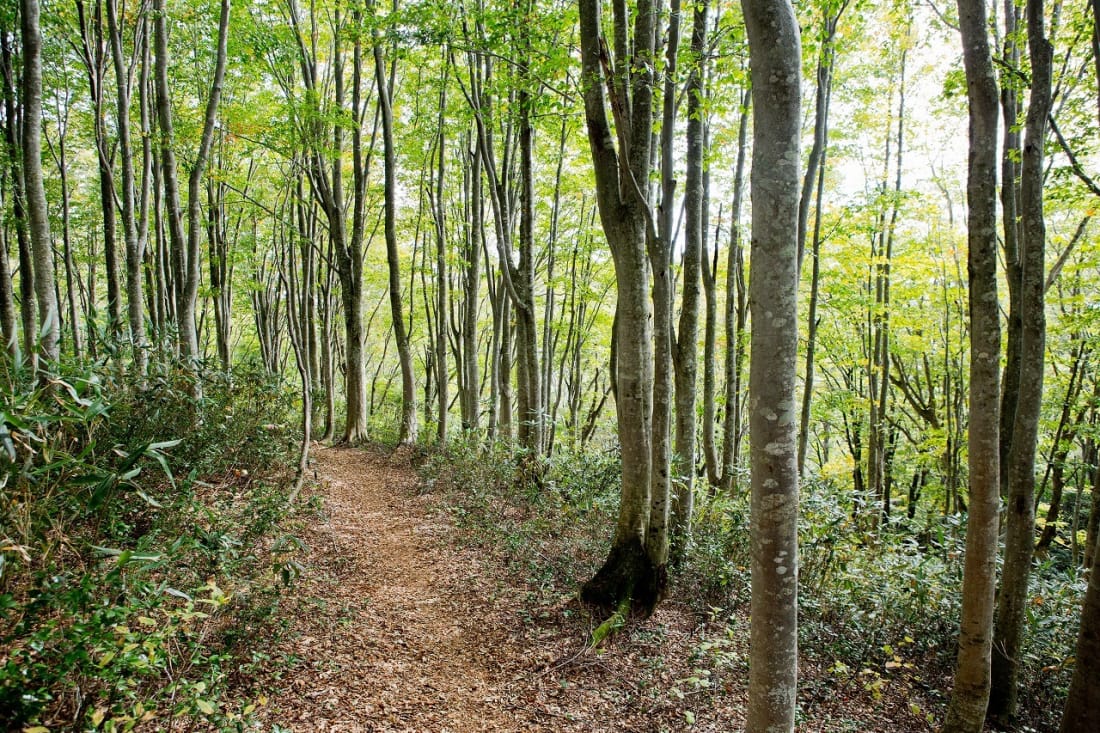 Shin-etsu Trail Japan