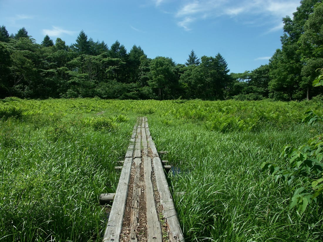 Shin-etsu Trail Japan