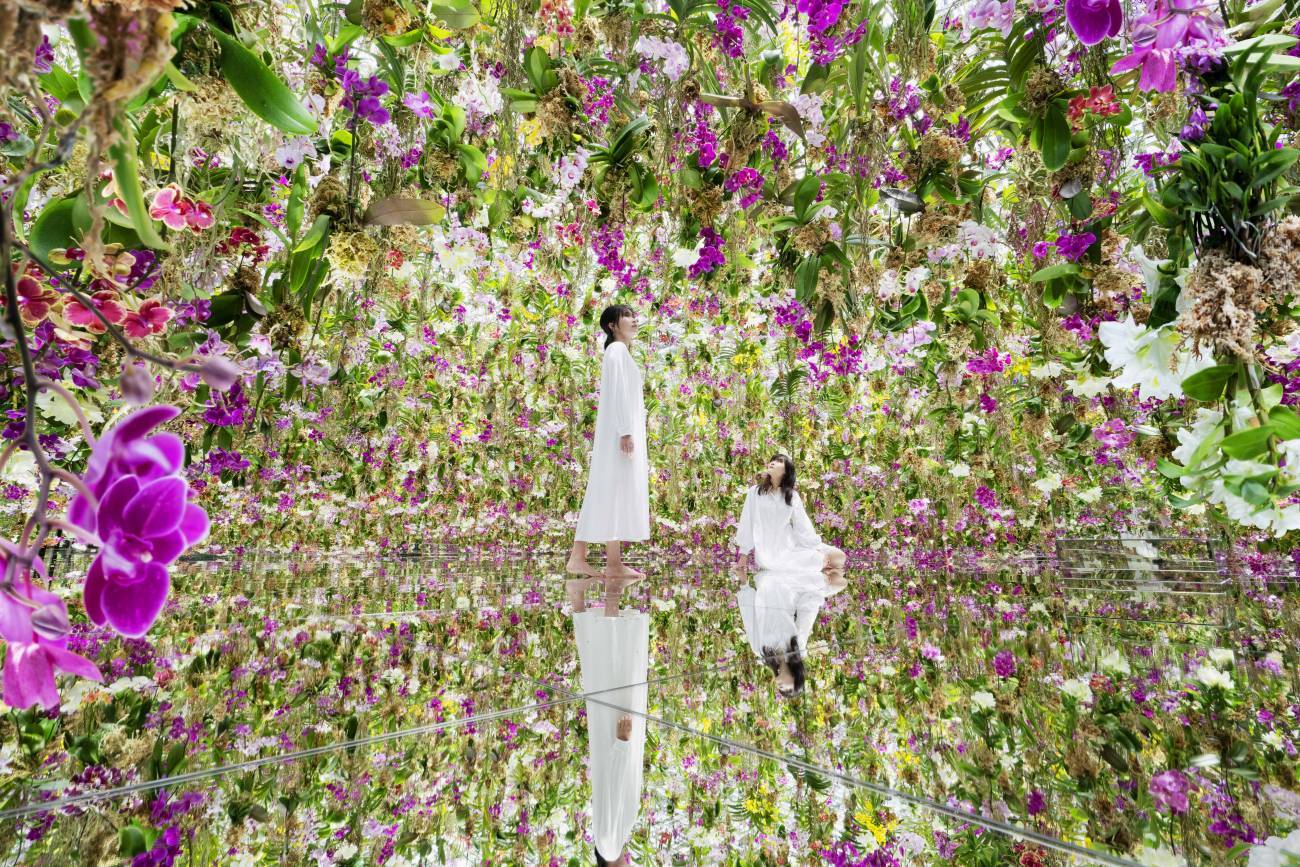 garden area teamlab borderless