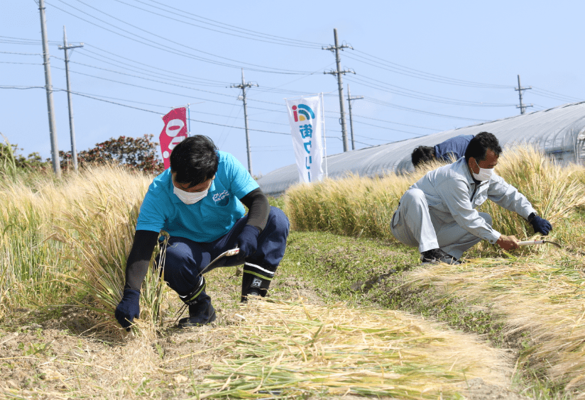 Sustainability in Japan orion beer