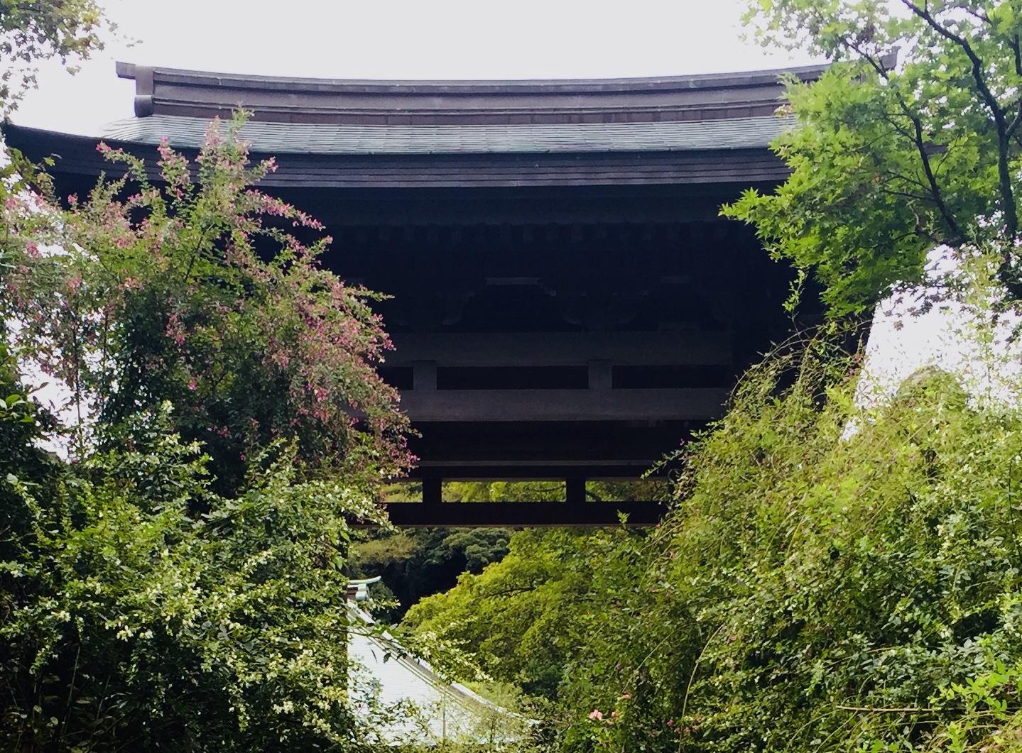 Kaizoji Kamakura