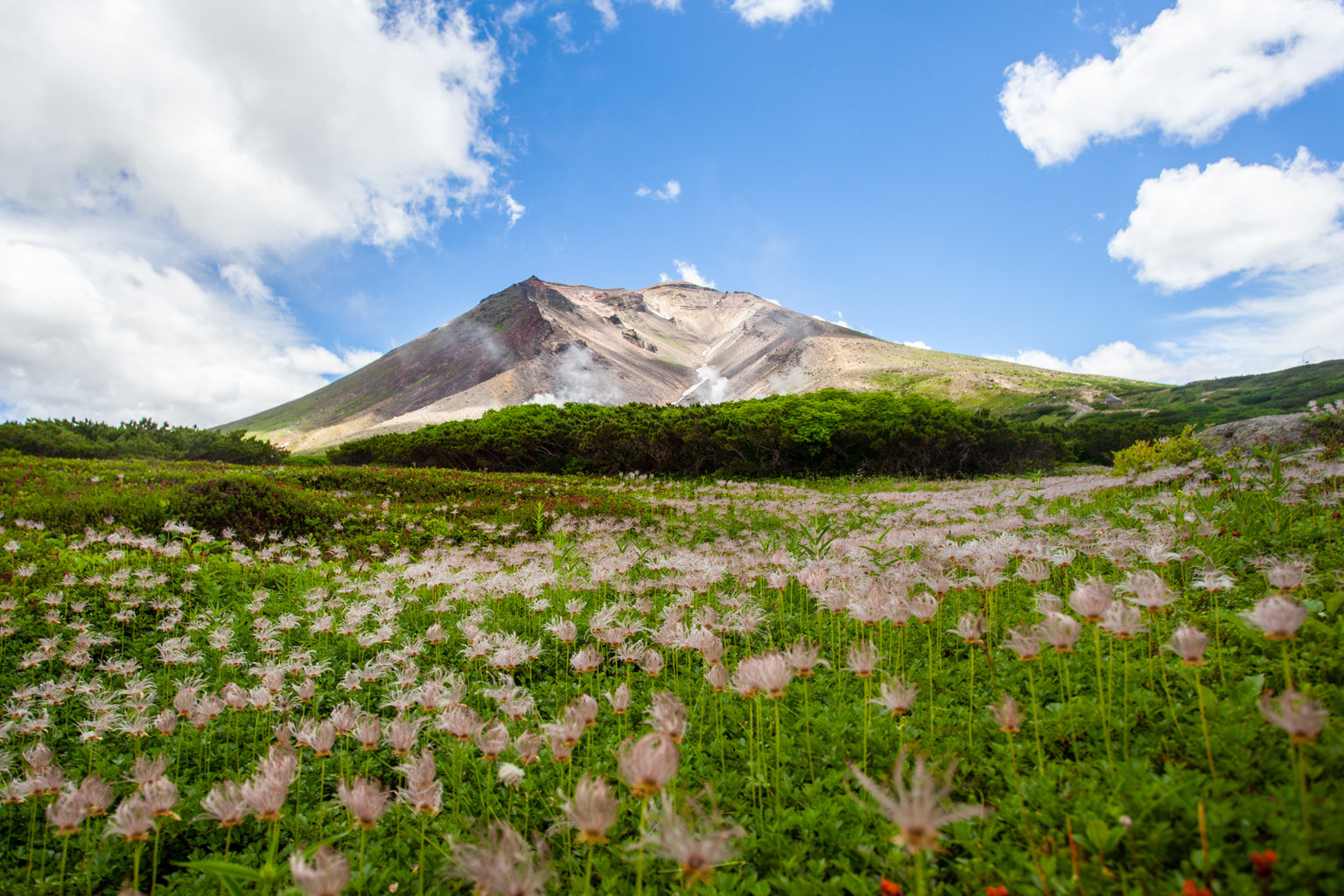 Easy Day Hikes in Daisetsuzan National Park in Hokkaido