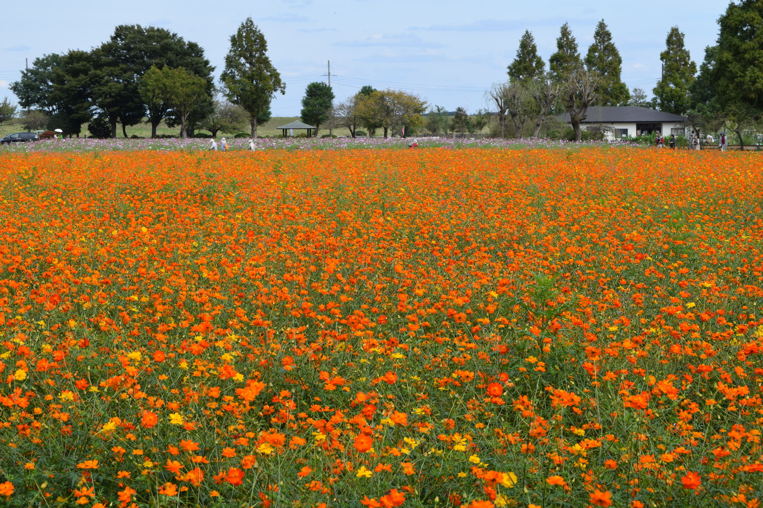 Akebono Agricultural Park