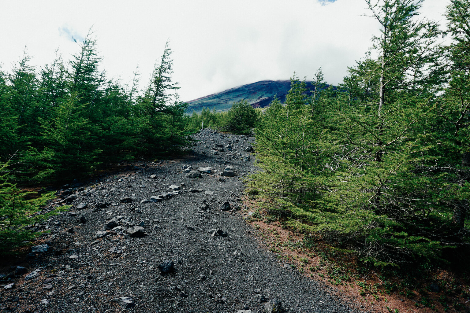 climbing Mt. Fuji