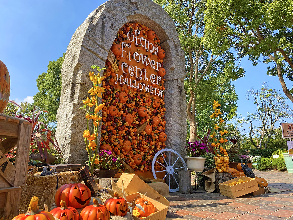 pumpkin patch ofuna garden center