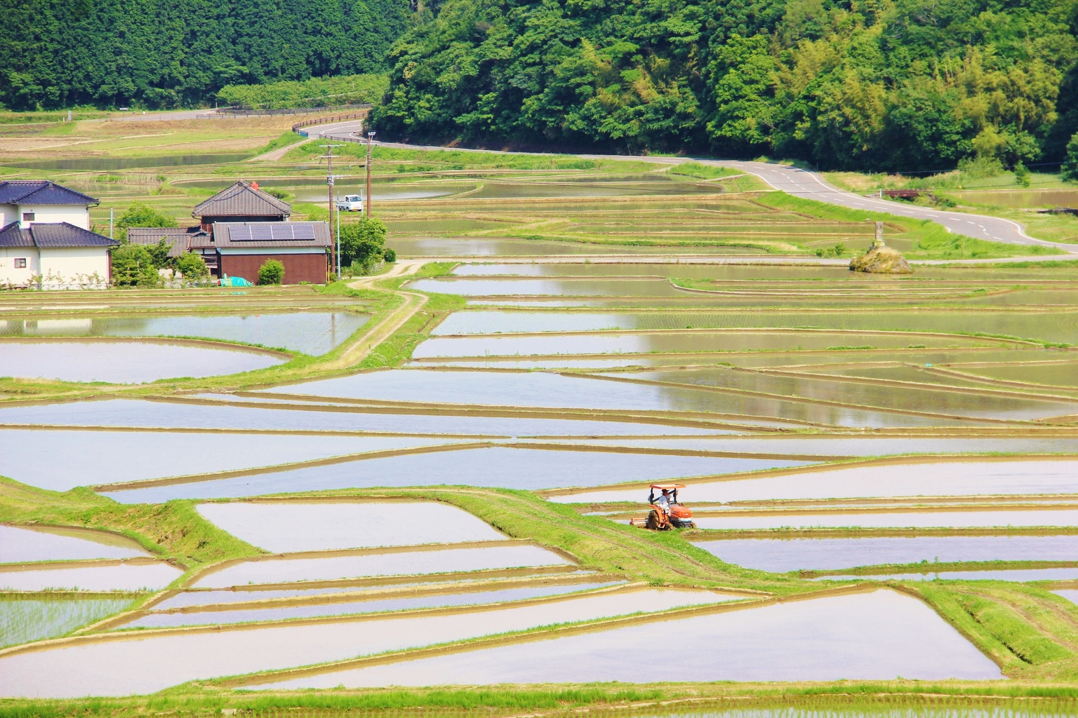 kunisaki and bungotakada ricefields closer