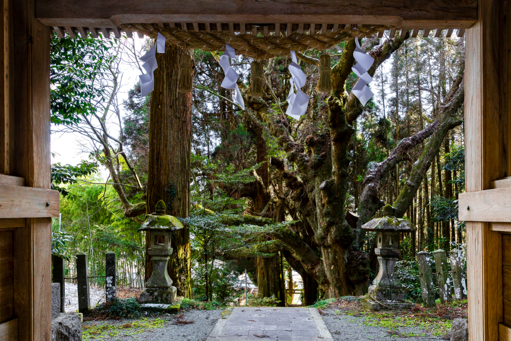 Taketa momijiyama jinja