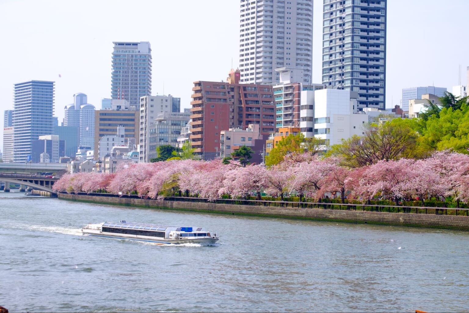 a 24 hours in osaka idea: take a boat 