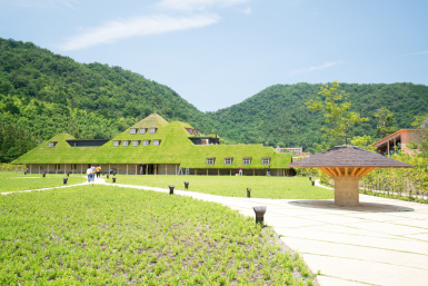 lake biwa colllina