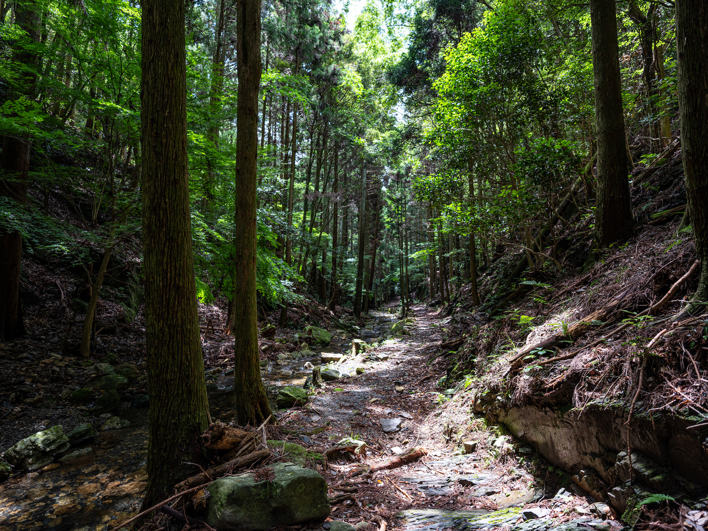 Tsushima