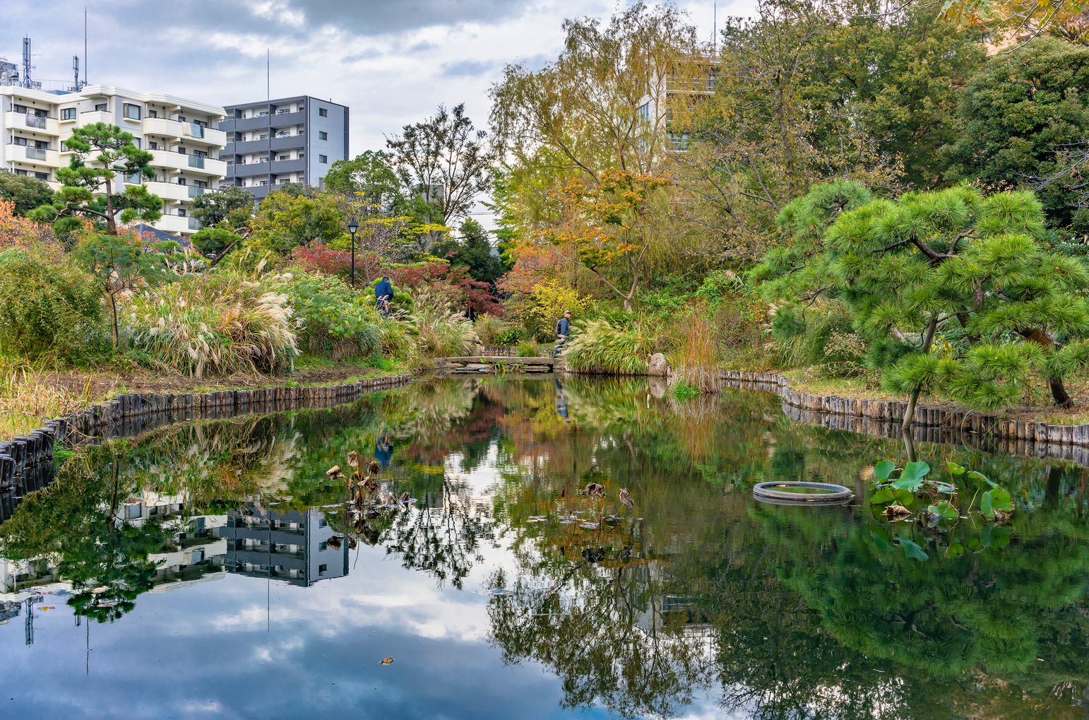 Mukojima-Hyakkaen Garden