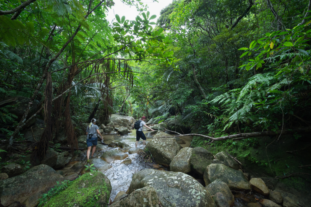 Okinawa hiking