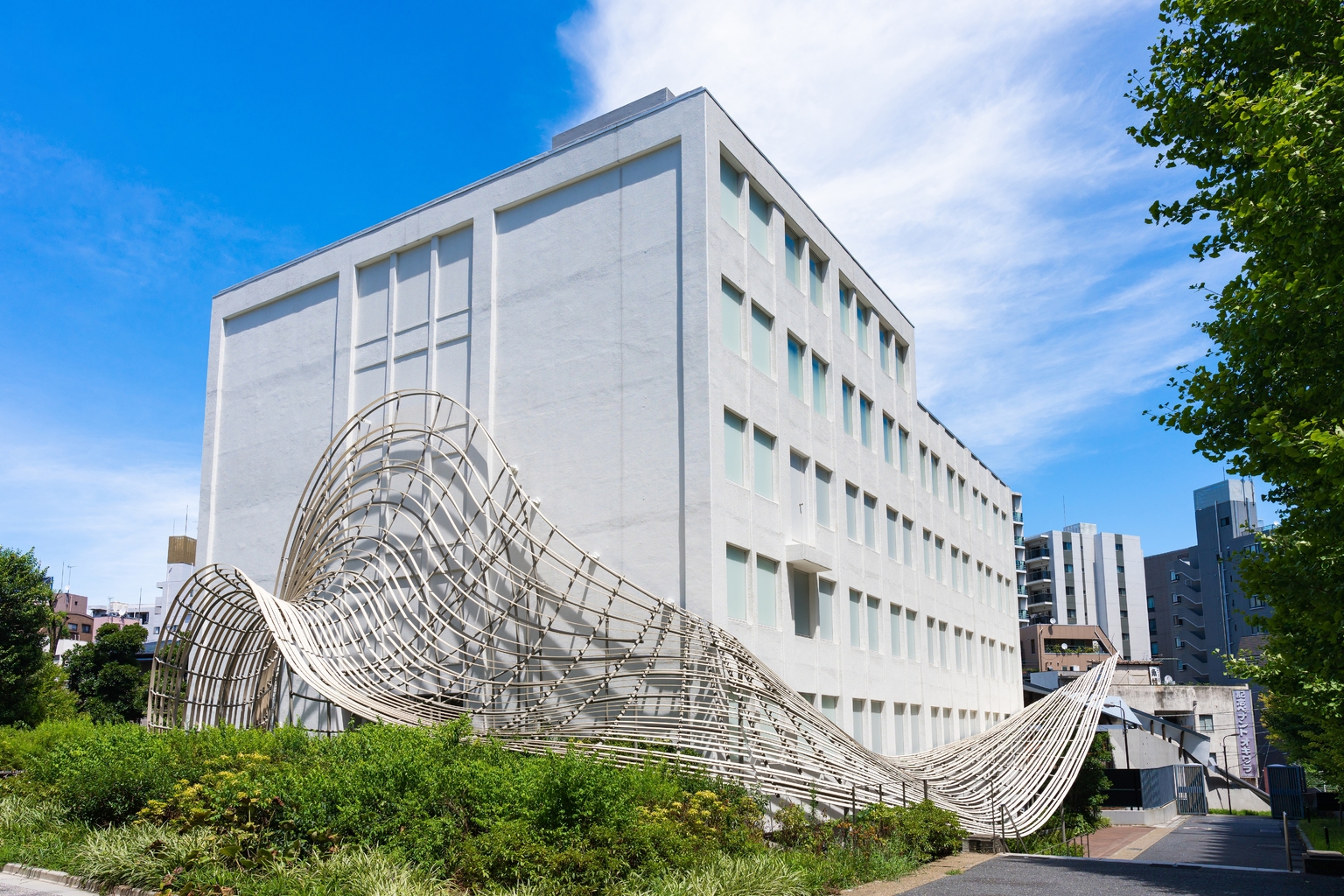 haruki murakami library