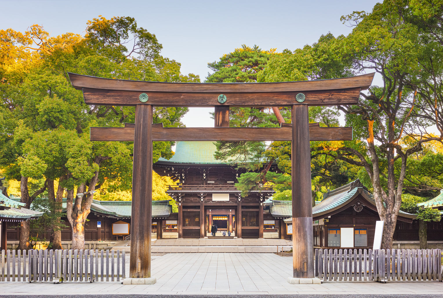 Meiji Jingu hatsumode new year tokyo