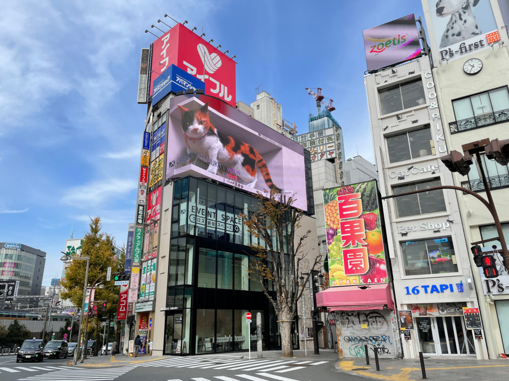 Tokyo's 3D billboards