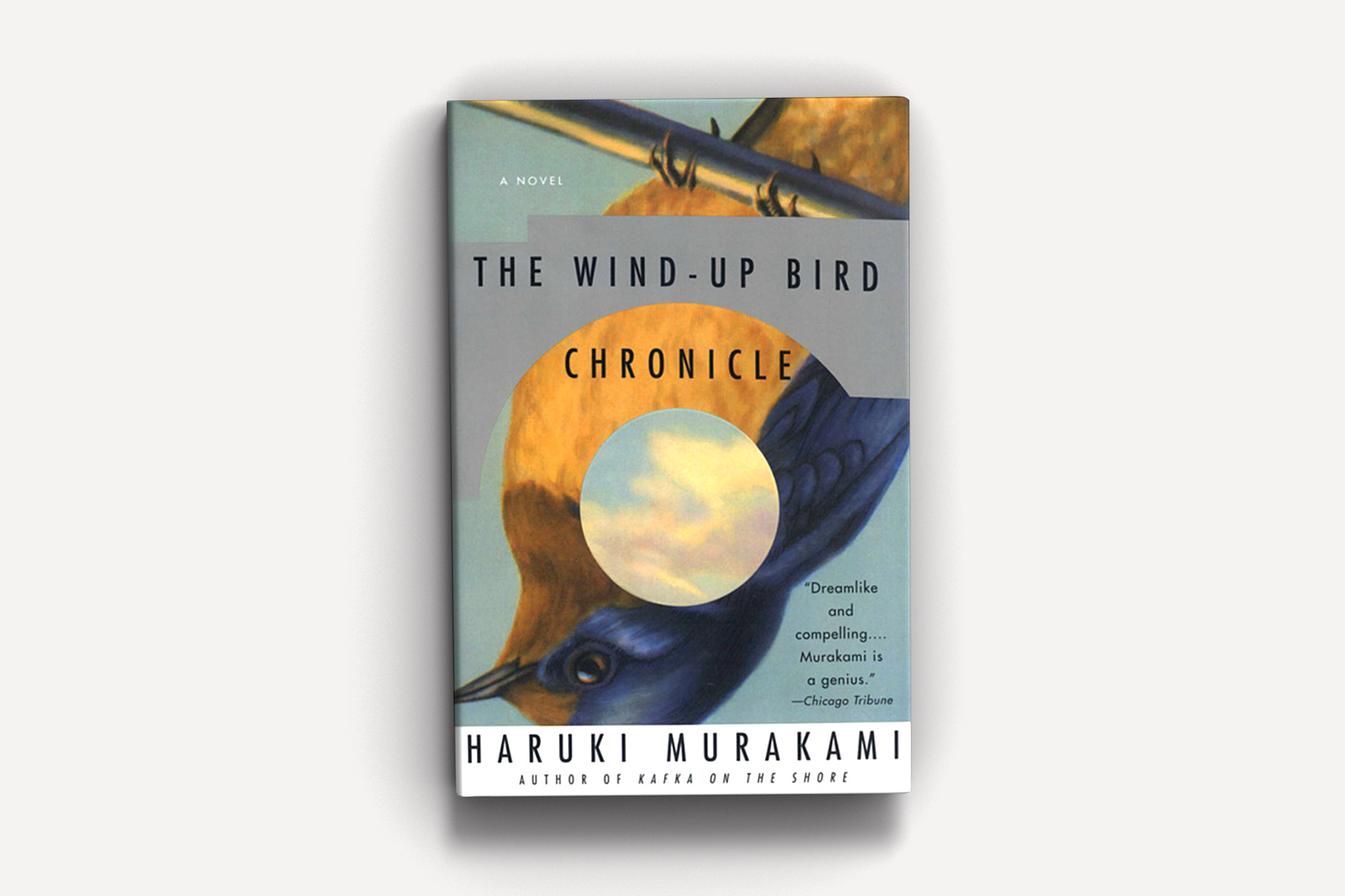 haruki murakami best books