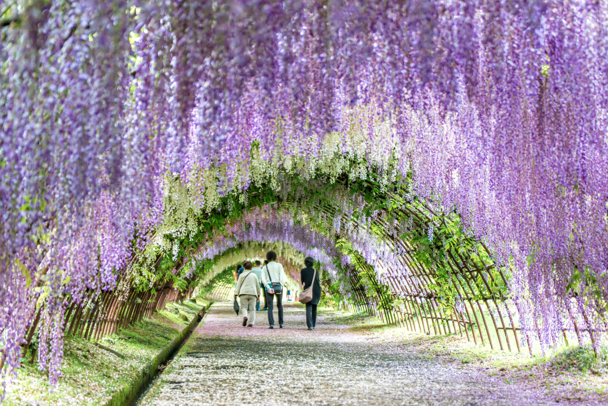 Flower Festivals May 2024