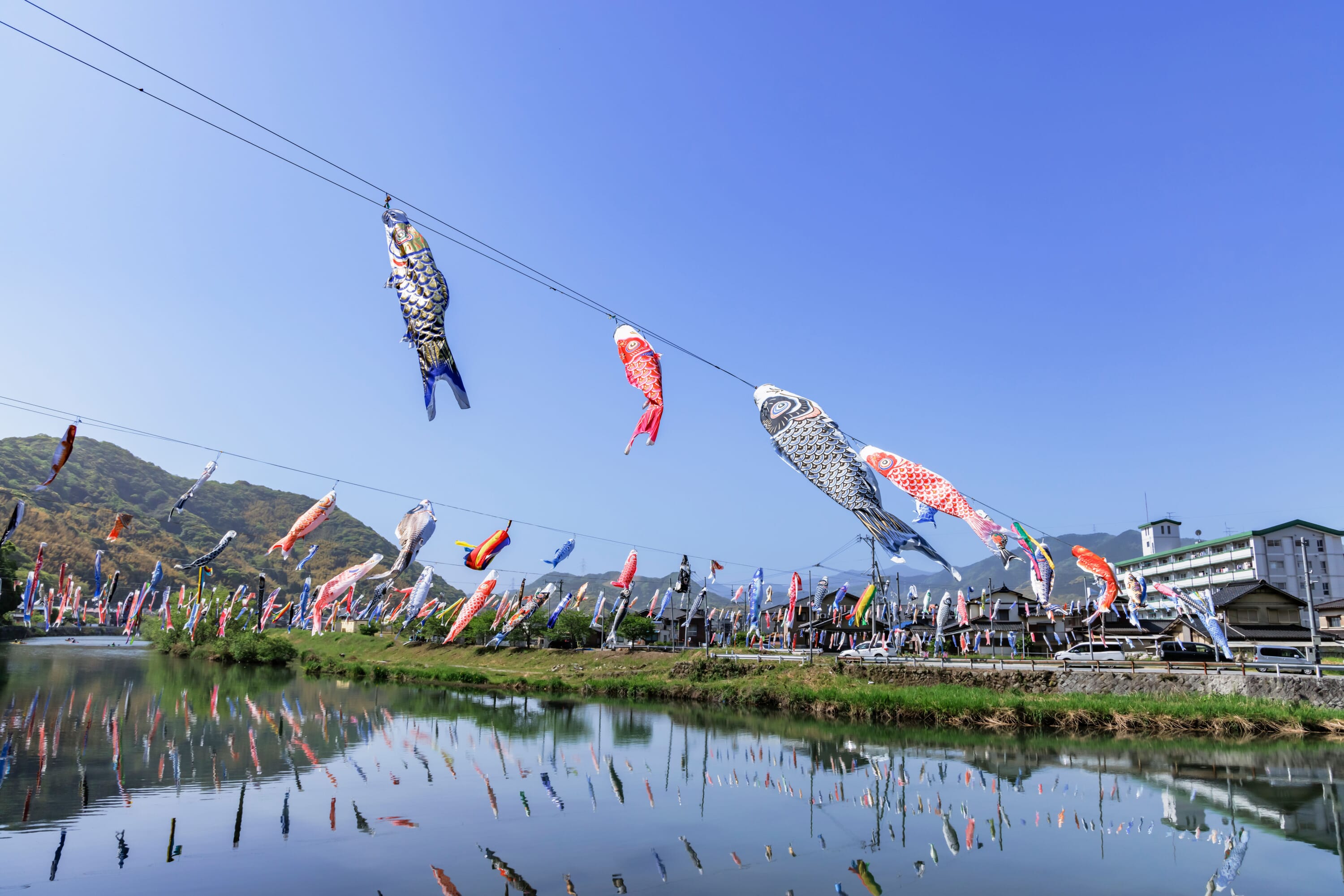 carp streemer fish kyushu travel