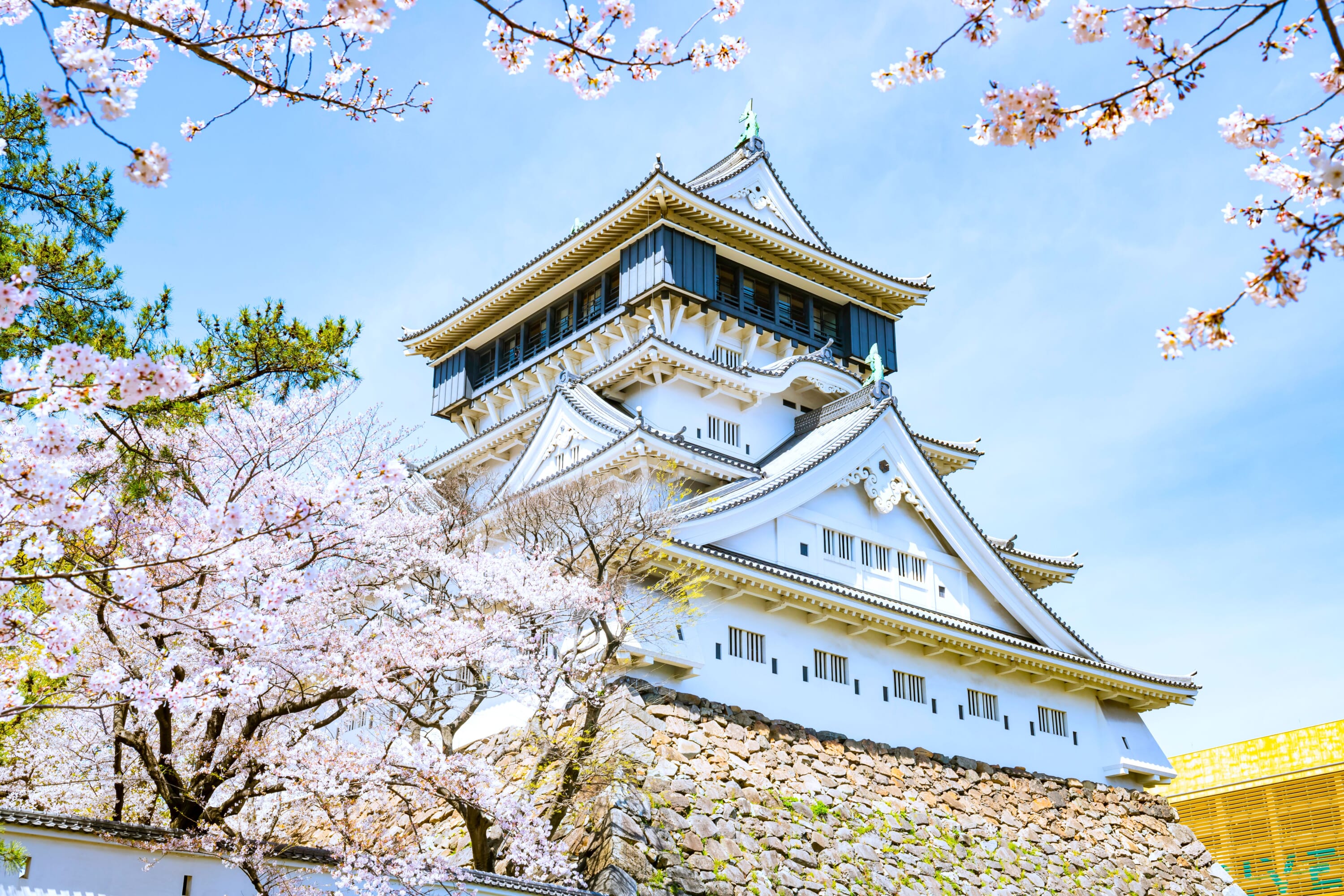 kokura castle sakura travel kyushu japan