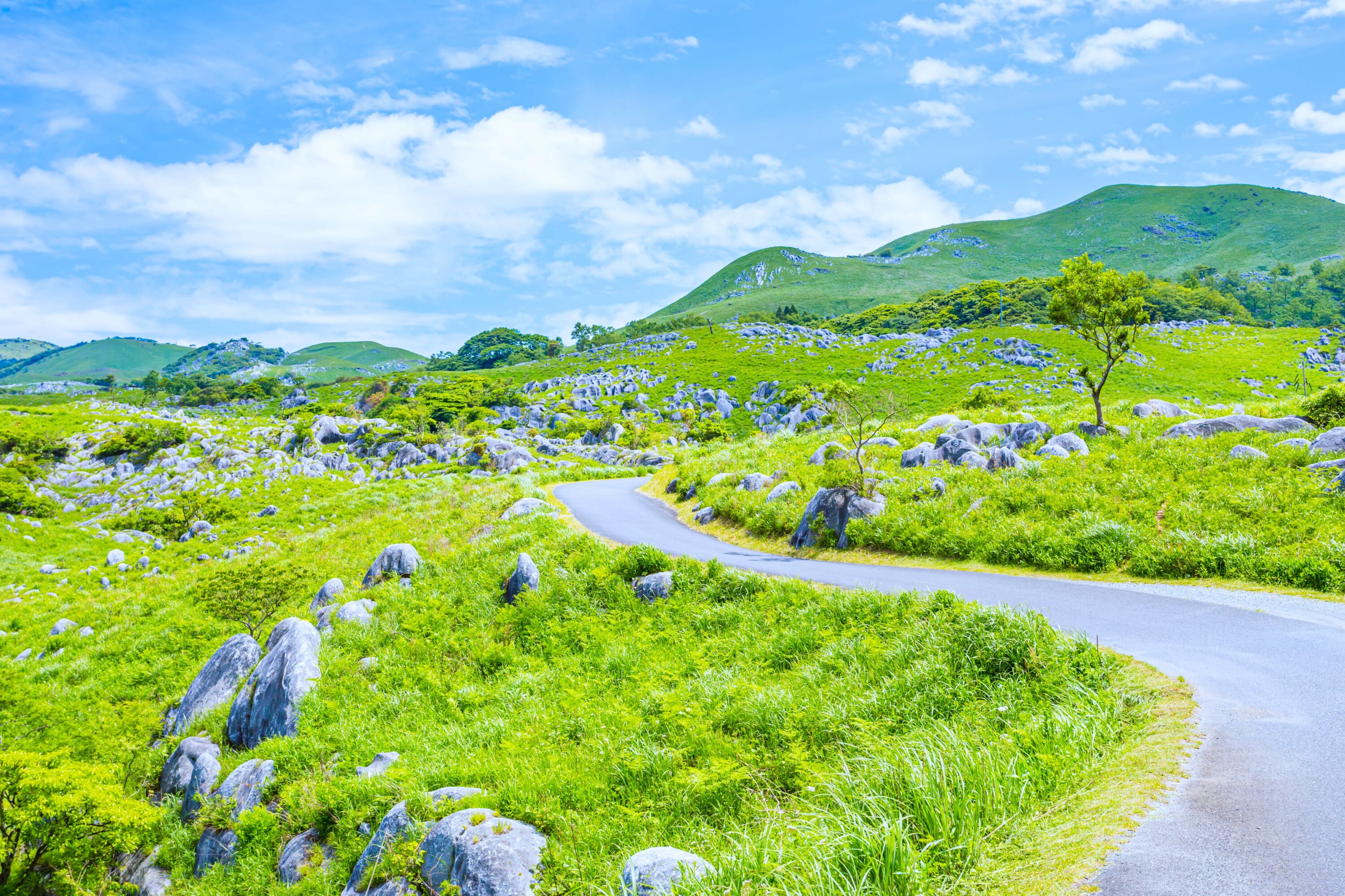 kyushu meadows japan travel