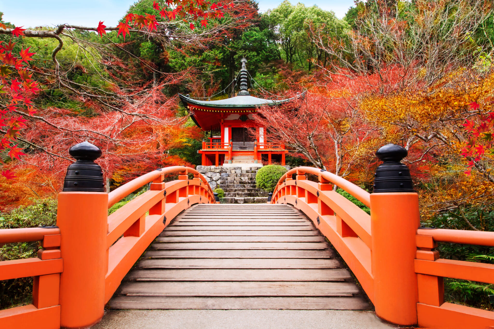 tokyo fall autumn japan