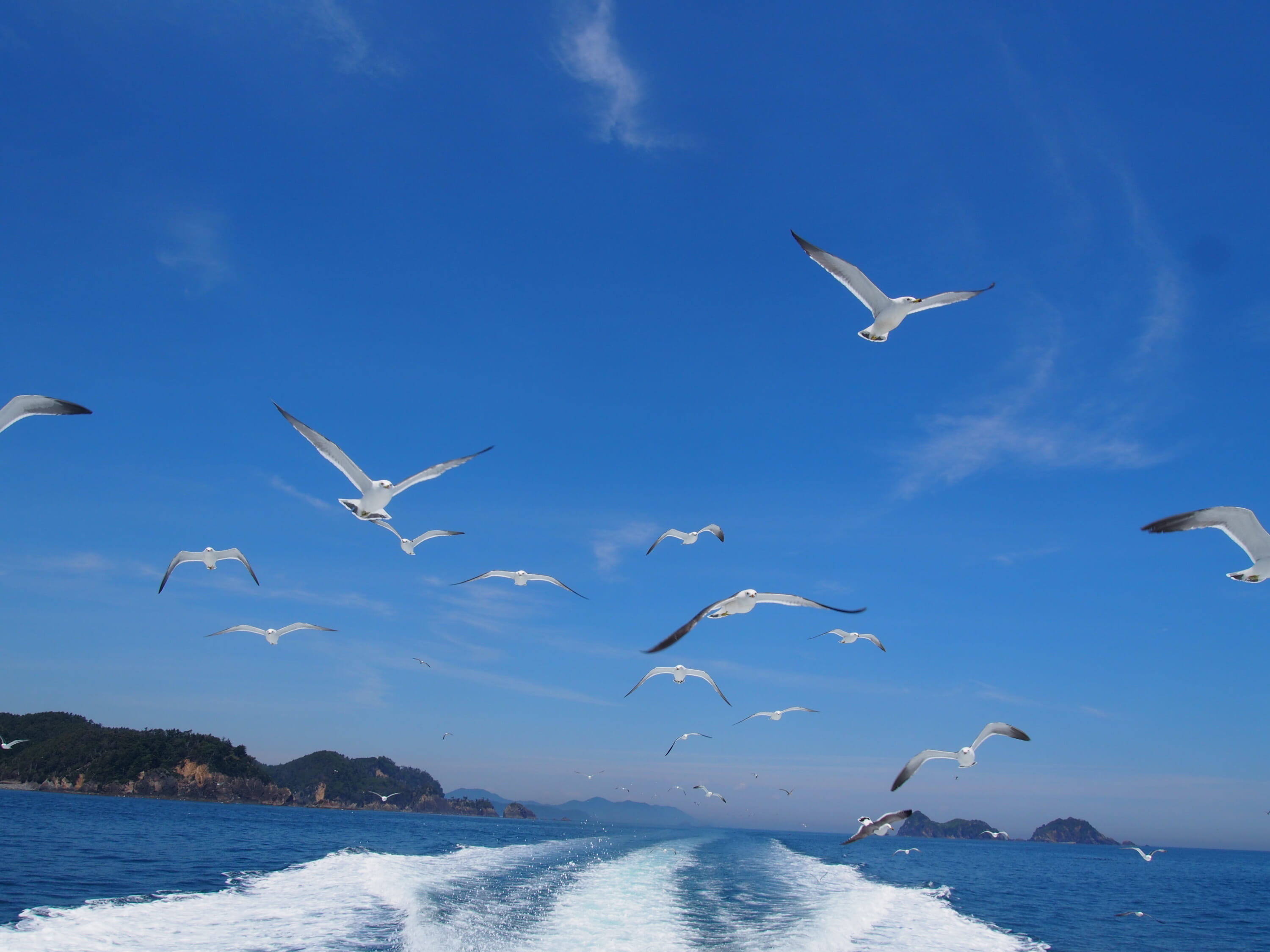 tohoku earthquake recovery onagawa bay