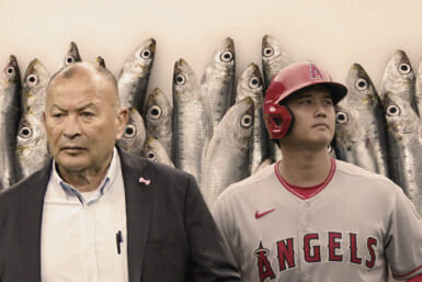 Japan News Round up - Ohtani, dead fish