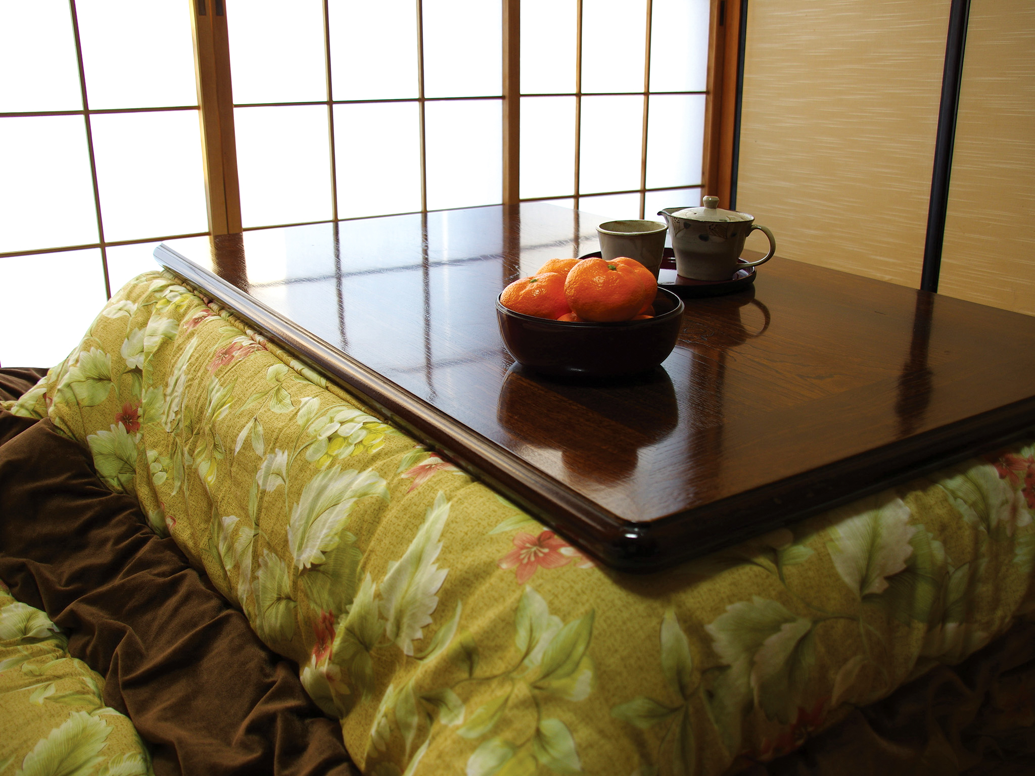 Japanese Kotatsu guide