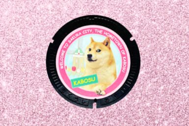 doge manhole cover