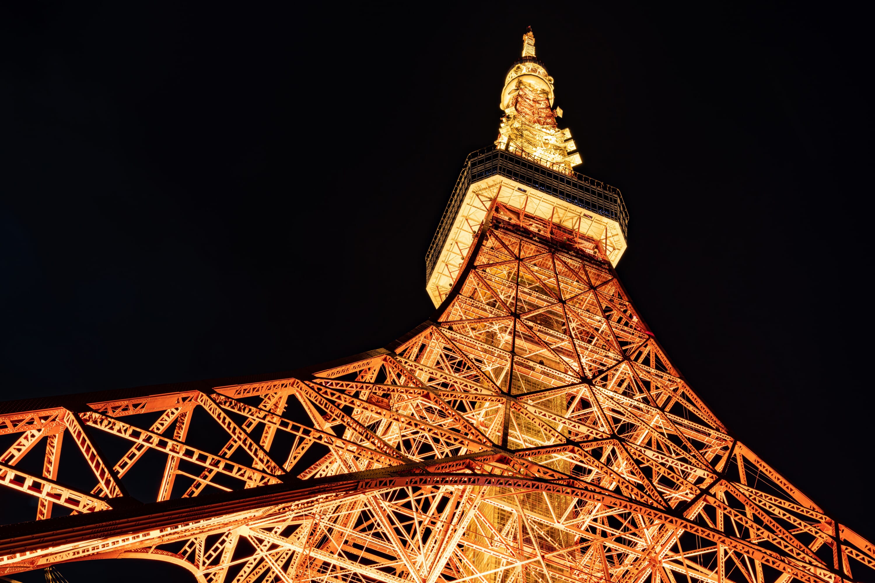 Tokyo Sightseeing Taxis