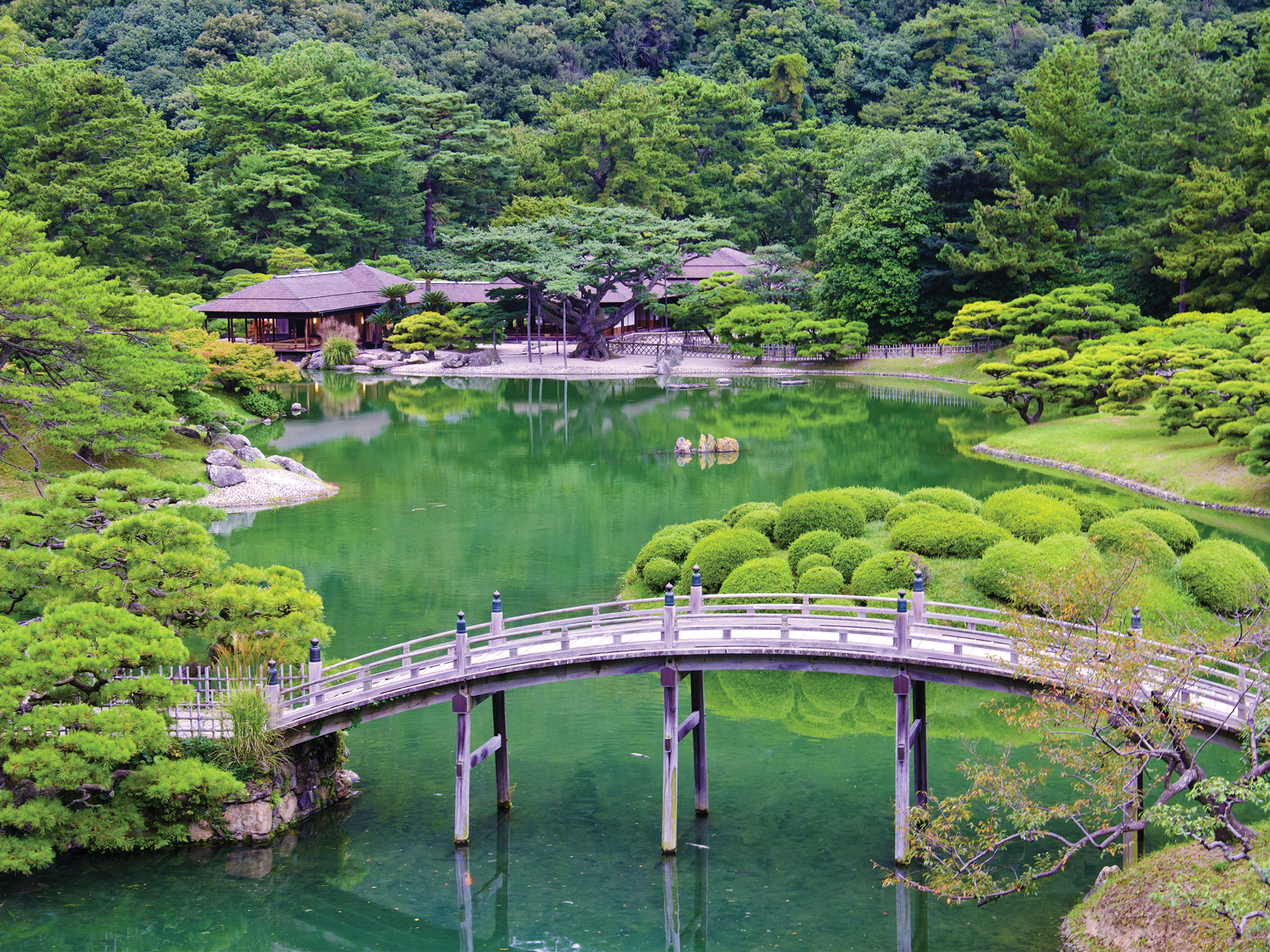 japanese garden