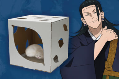 jujutsu kaisen prison realm pet house