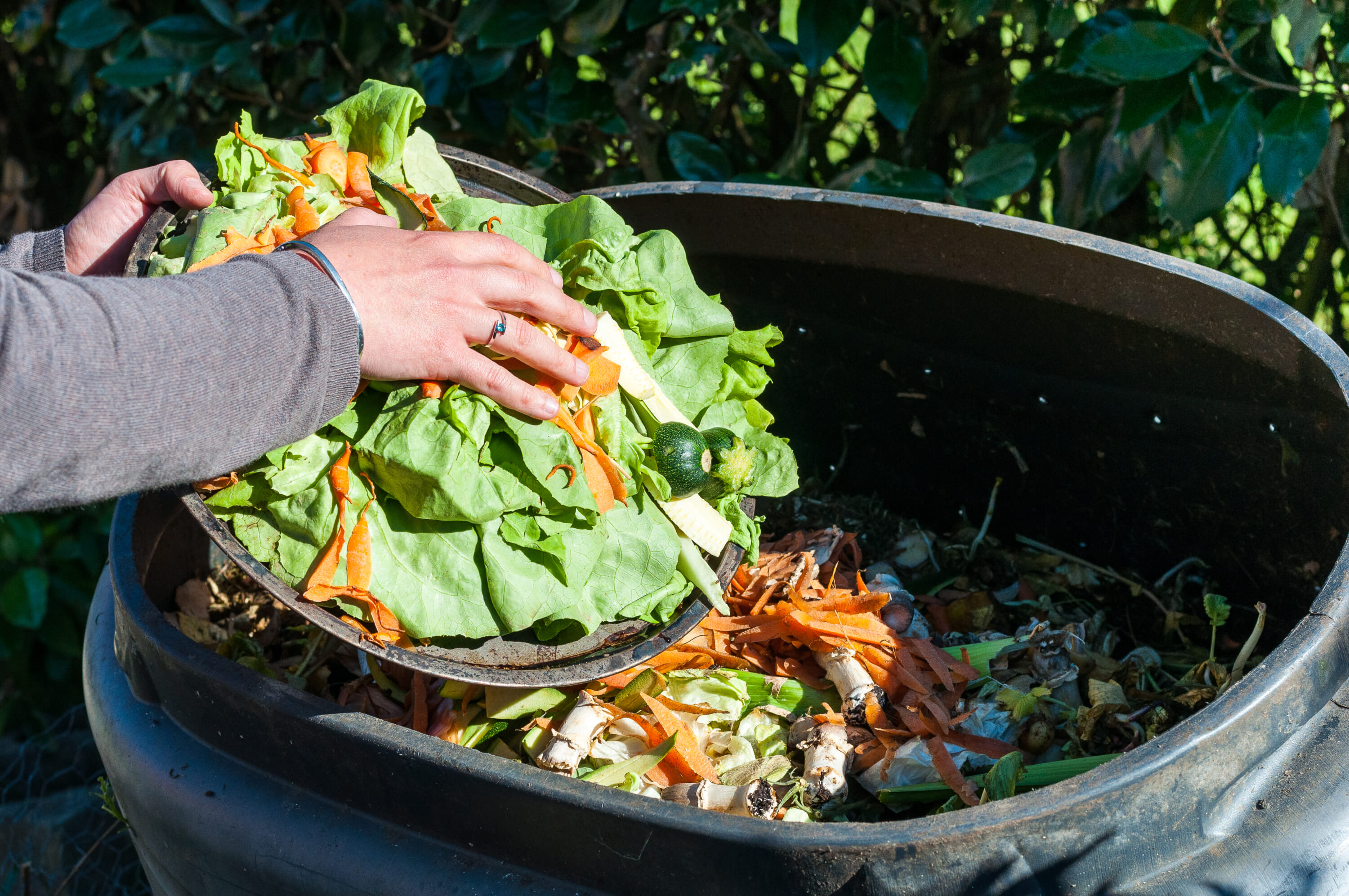 japan food waste