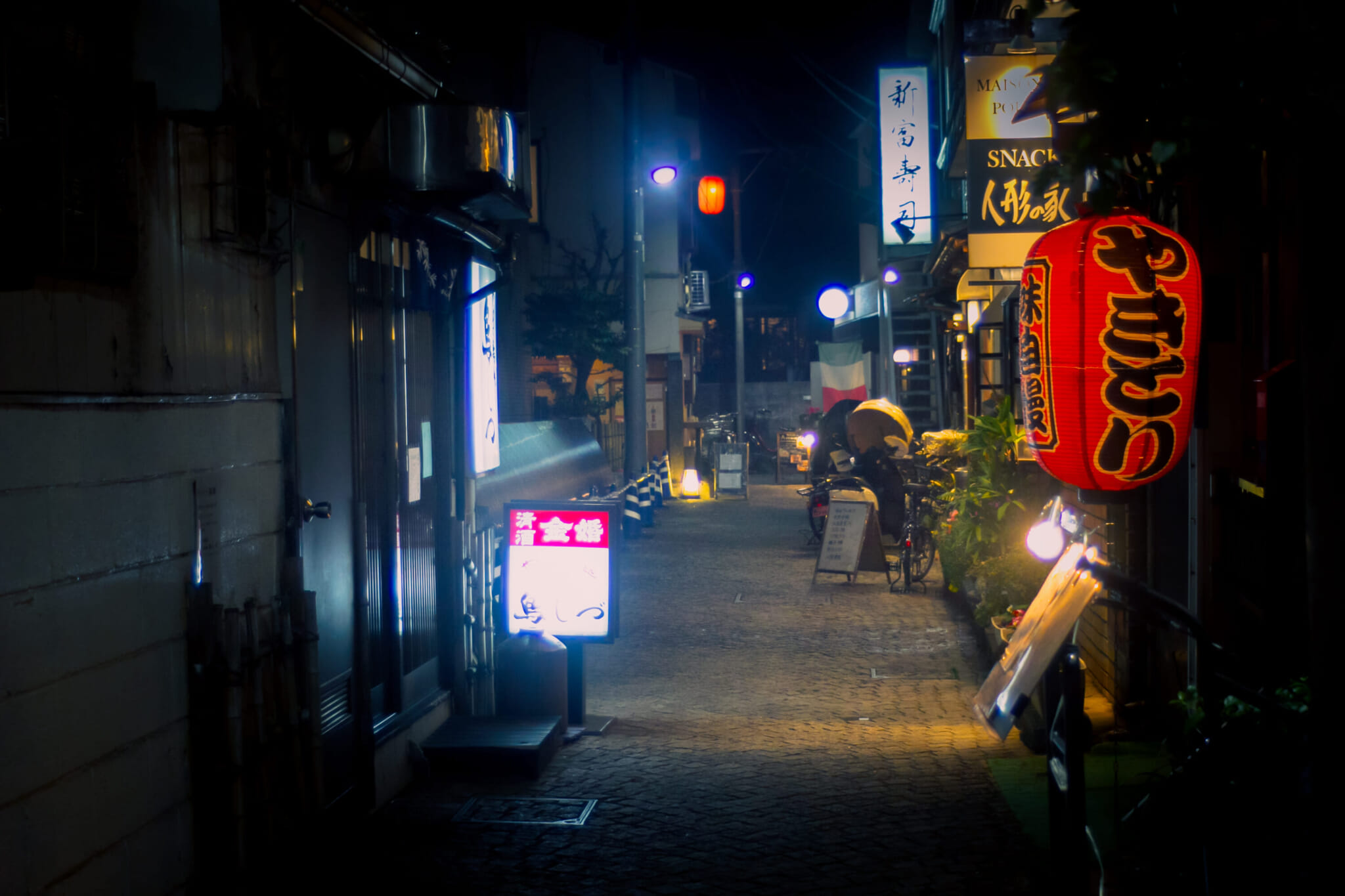 best yokocho in tokyo