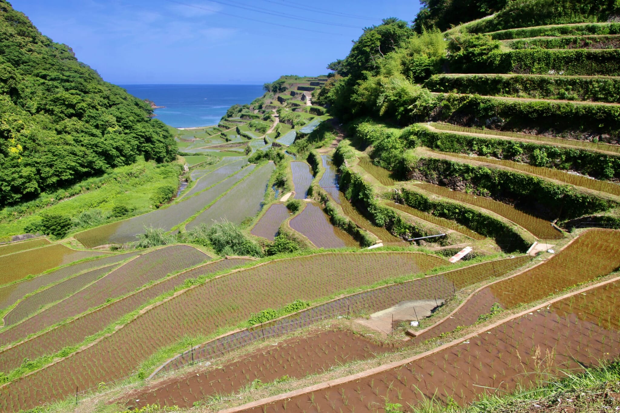 kyushu hitchhiking