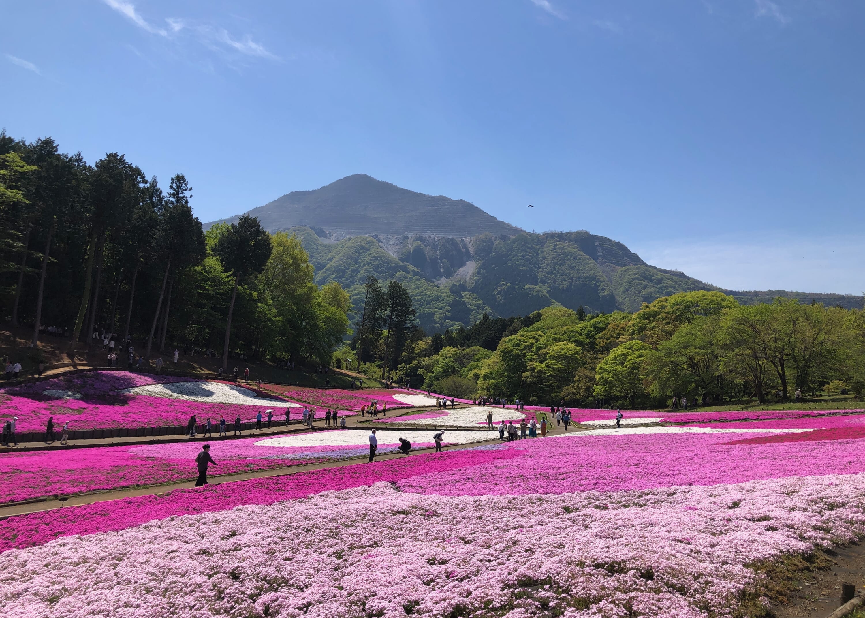 best tokyo day trips by train