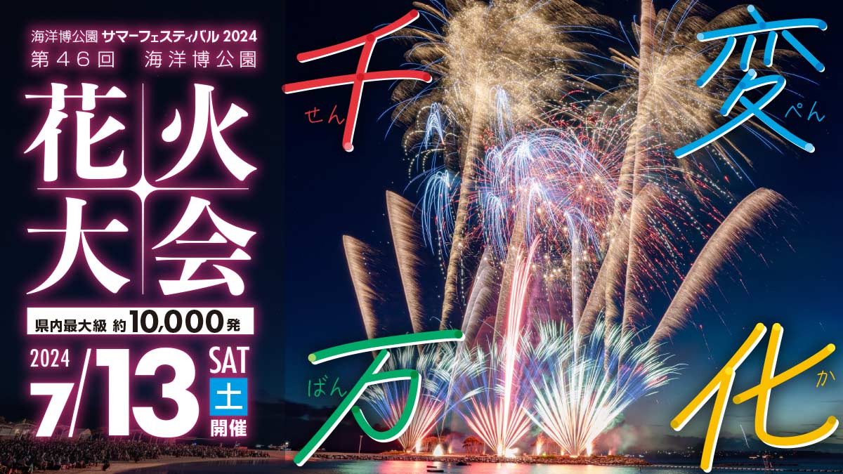 firework festival summer